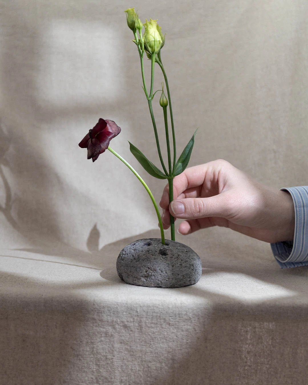 River Stone Ikebana Frog